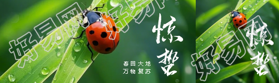 今日惊蛰春回大地公众号封面图