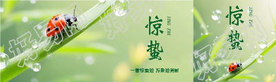 惊蛰时节实景宣传公众号封面图
