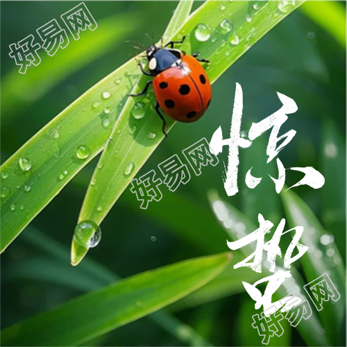 惊蛰时节气温回暖微信公众号次图