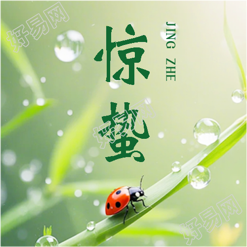 惊蛰传统习俗宣传微信公众号次图