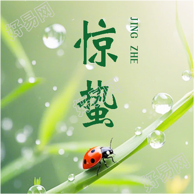 惊蛰传统习俗宣传微信公众号次图