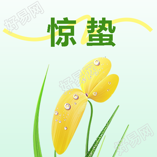 惊蛰时节唯美花卉微信公众号次图