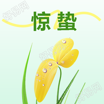 惊蛰时节唯美花卉微信公众号次图