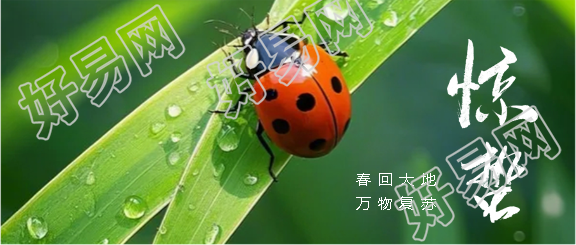 惊蛰节气创意宣传微信公众号首图