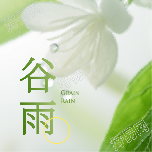 谷雨节气习俗宣传微信公众号次图