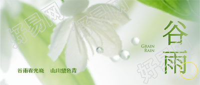 谷雨时节鲜花美景微信公众号首图