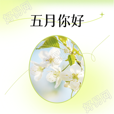 五月你好小清新风格微信公众号次图