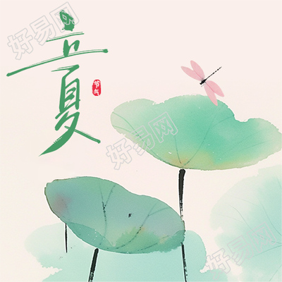 立夏水彩风格荷叶微信公众号次图