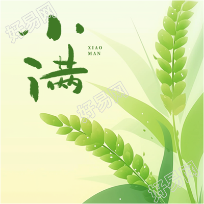 小满时节绿色渐变微信公众号次图