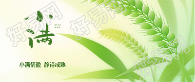 小满节气民俗宣传微信公众号首图
