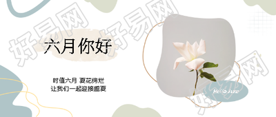 六月你好唯美花卉实景微信公众号首图