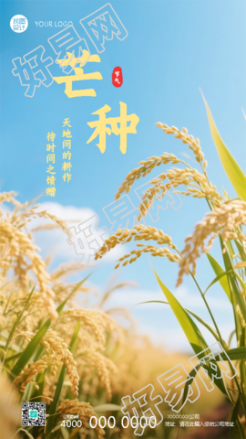 芒种气温升高万物生长手机海报
