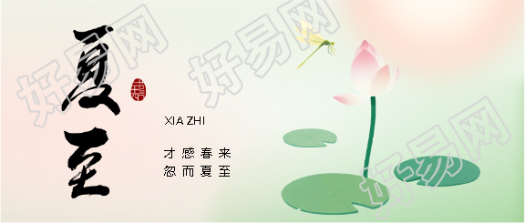 夏至节气弥散风微信公众号首图