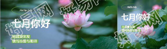 七月你好荷花实景公众号封面图