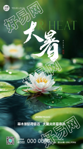大暑至夏意浓荷花实景手机海报