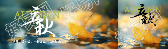 立秋至银杏黄创意公众号封面图