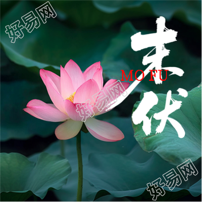 末伏谨防秋老虎微信公众号次图