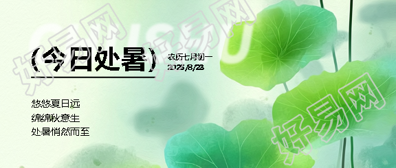 今日处暑水彩荷叶微信公众号首图