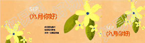 九月你好鲜花简约公众号封面图