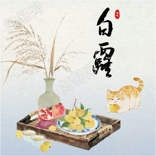 今日白露卡通猫咪微信公众号次图