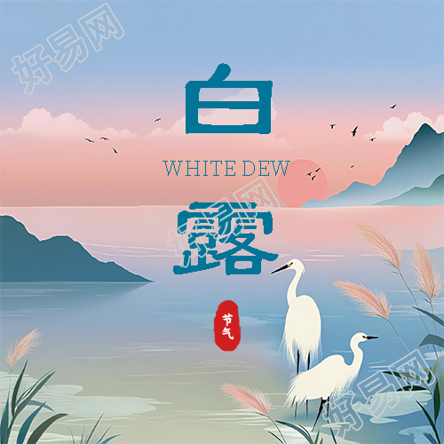 白露时节简约芦苇微信公众号次图