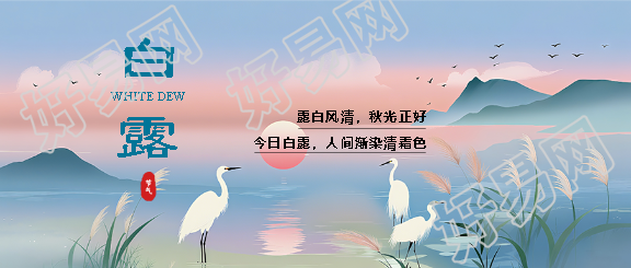 白露已至一叶知秋意微信公众号首图