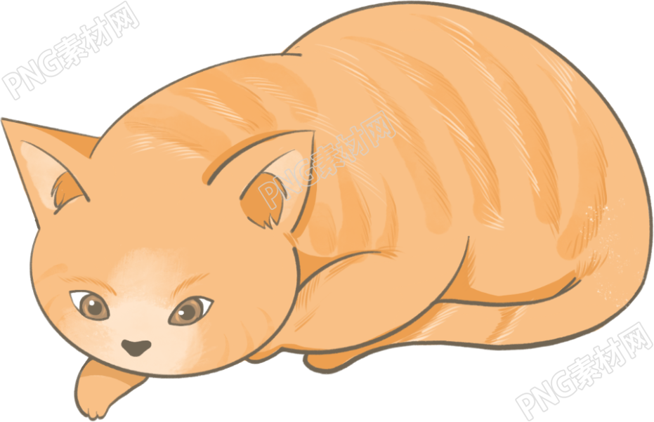 动物猫咪素材