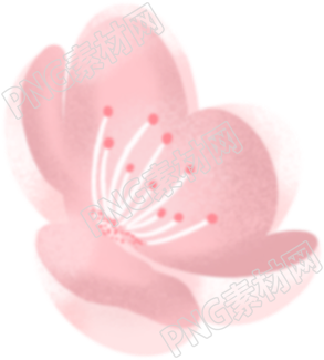 色彩清新的手绘粉色花朵