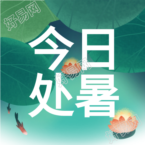 处暑节气二十四节气荷花荷叶小鱼夏天封面图