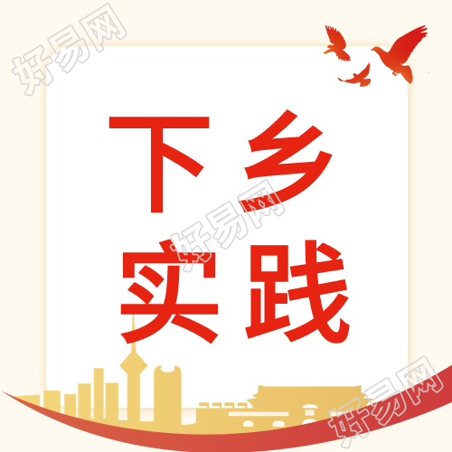 乡村振兴下乡实际鸽子城市封面图