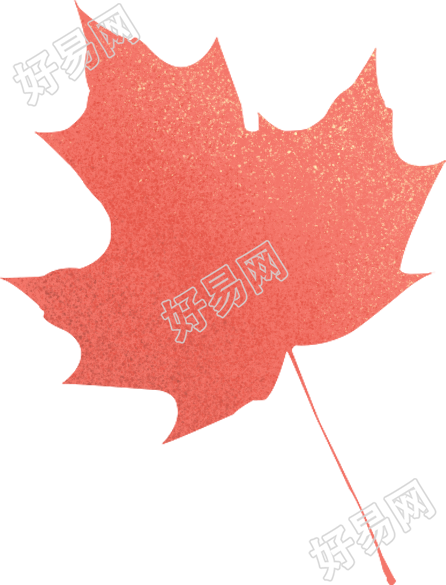 枫叶
