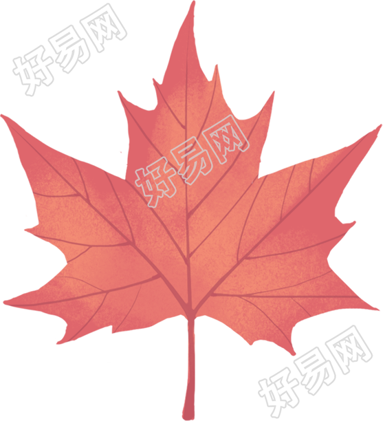 枫叶