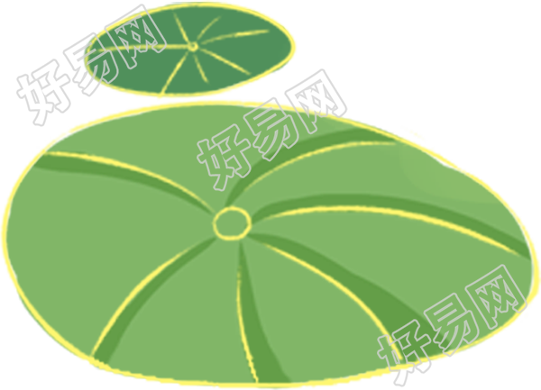 荷叶