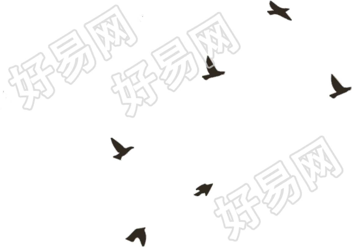 鸟/大雁