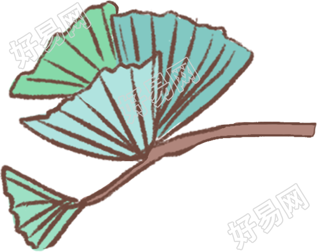 银杏树叶