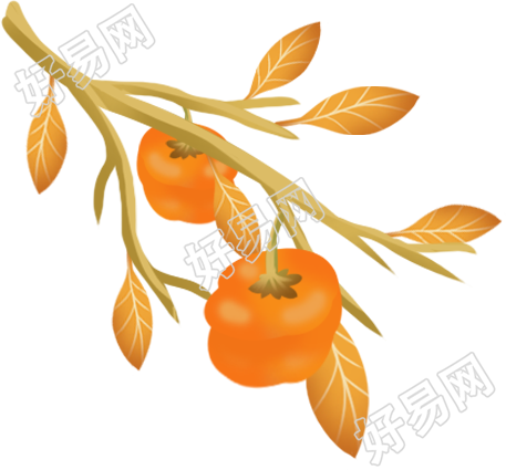 柿子