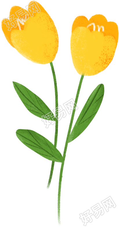 花卉