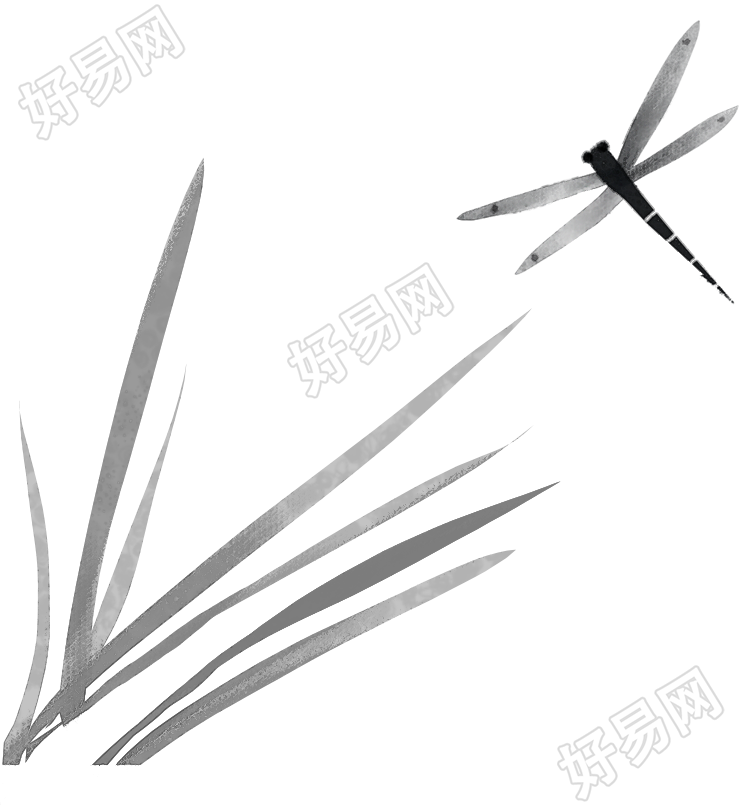 蜻蜓/植物