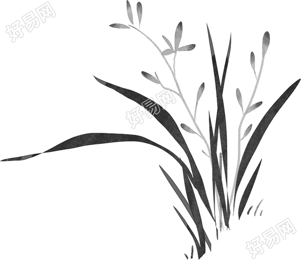 植物