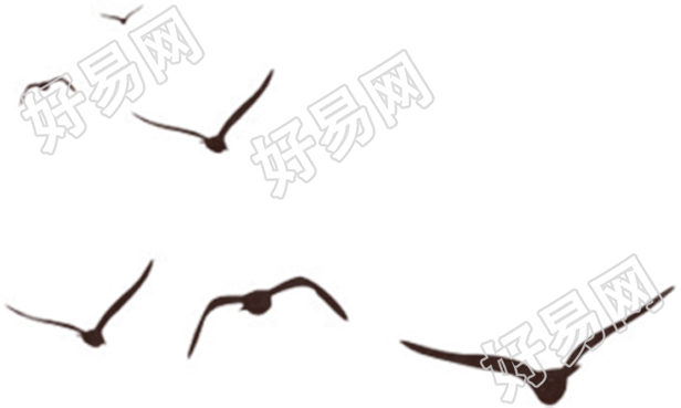 雁群