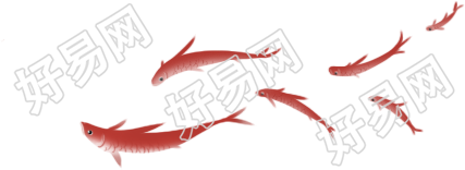 鲤鱼