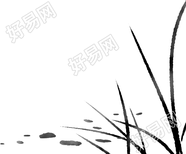 芦苇