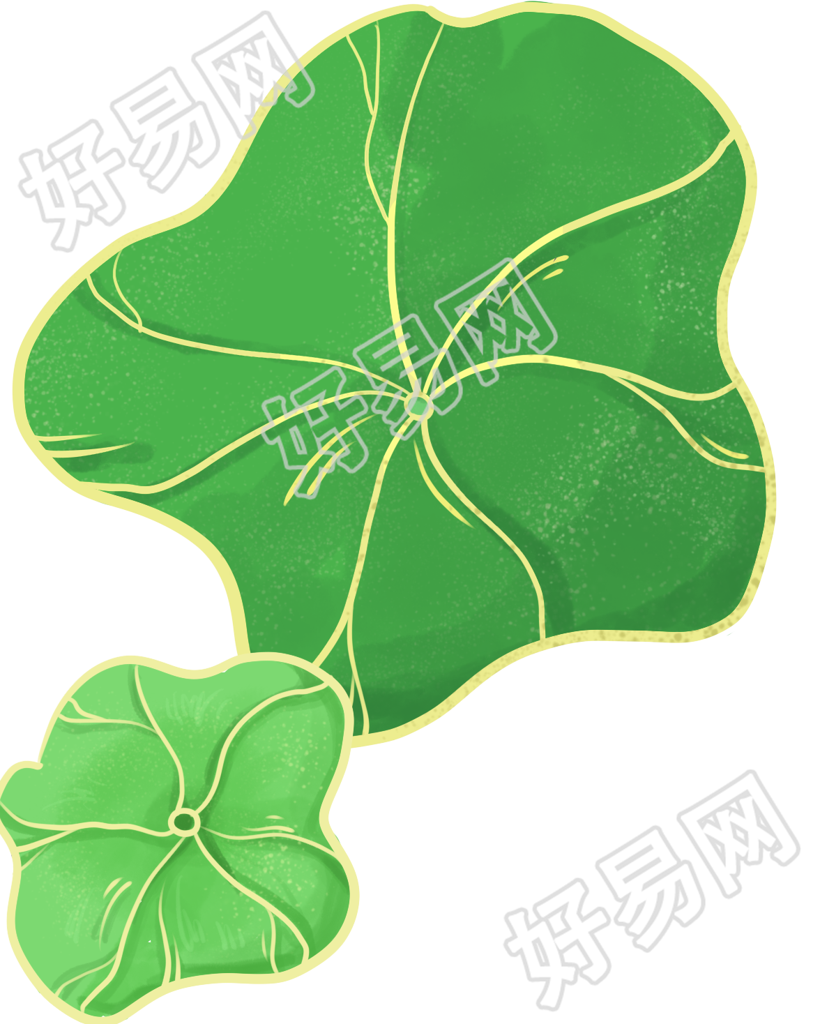 荷叶