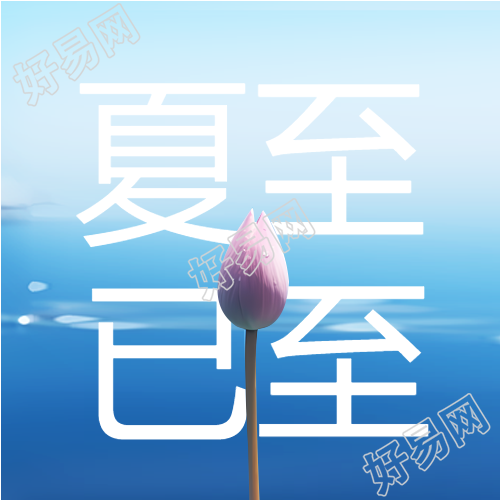 含苞待放的荷花夏至已至微信公众号次图