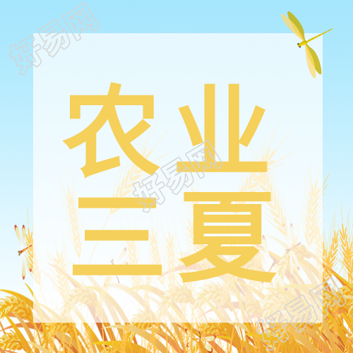 亮色系农业三夏田野蜻蜓微信公众号次图