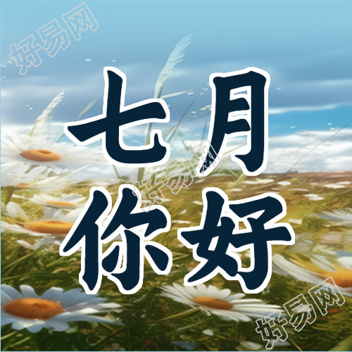 唯美太阳花七月你好创意微信公众号次图