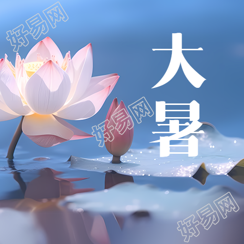 荷塘月色美景大暑节气微信公众号次图