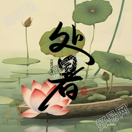 深绿色荷叶24节气处暑微信公众号次图