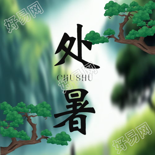 松树实景创意处暑24节气微信公众号次图