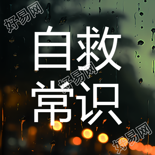 城市车尾灯实景台风自救常识微信公众号次图